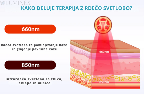 Exoh Slim Light Belt